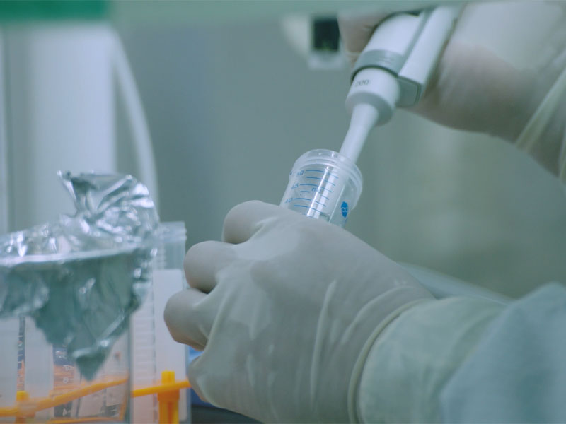 Humoral og cellulær immunitet for Mrna Rsv-vaccinen var væsentligt højere end dem for internationalt markedsførte produkter, der blev ansøgt om klinisk forsøg i USA.